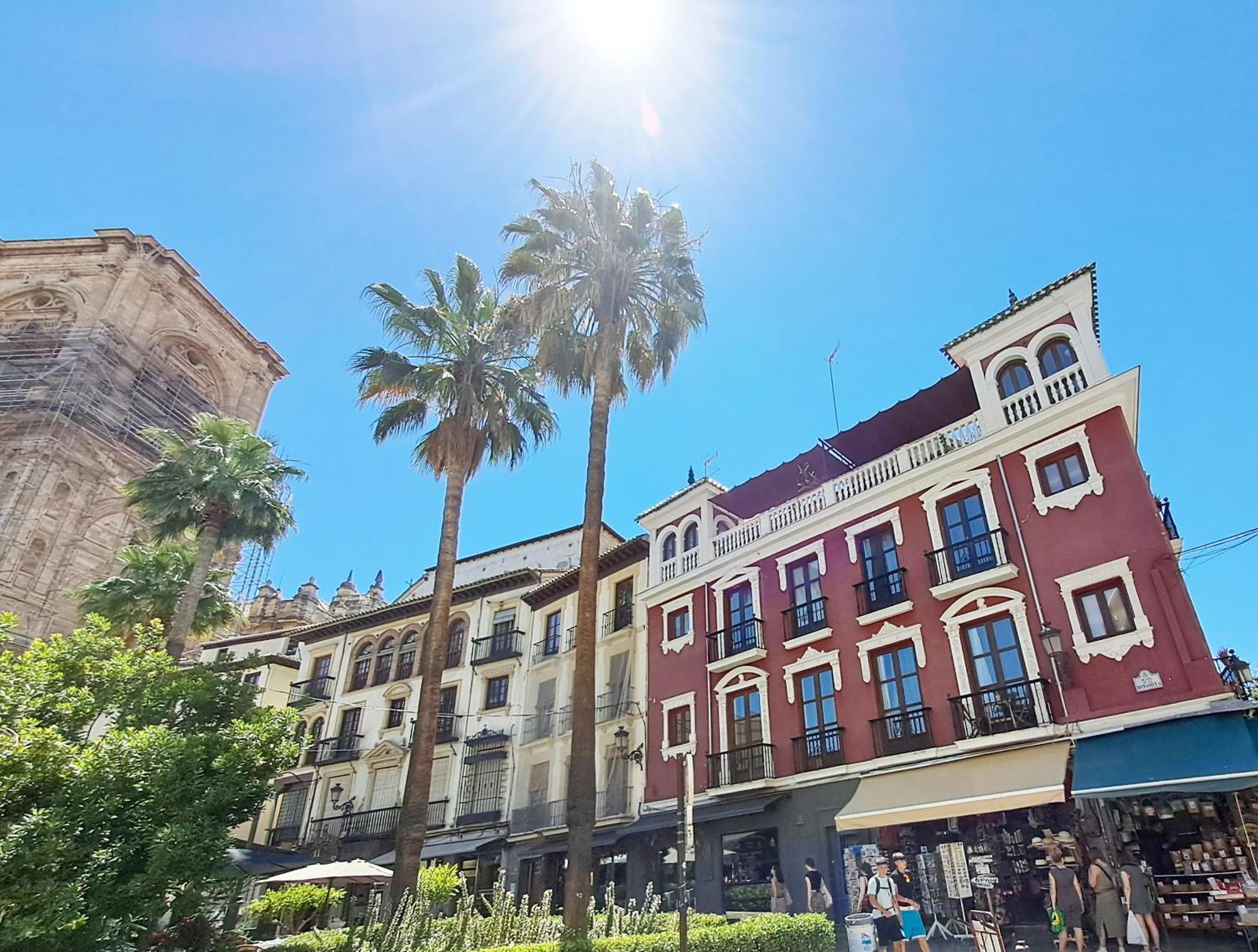 Apartasuite Centro Historico Atico Tranquilo Y Luminoso En El Corazon De Granada Dış mekan fotoğraf