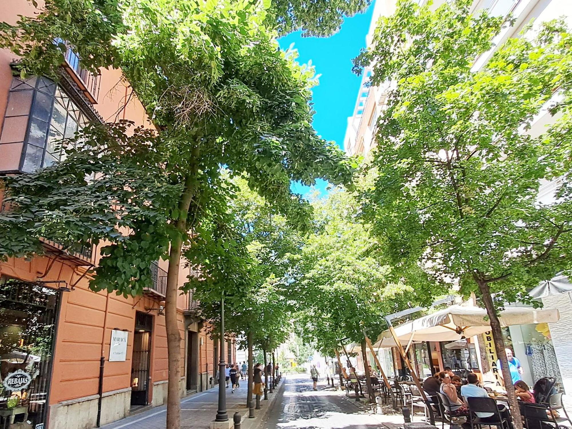 Apartasuite Centro Historico Atico Tranquilo Y Luminoso En El Corazon De Granada Dış mekan fotoğraf