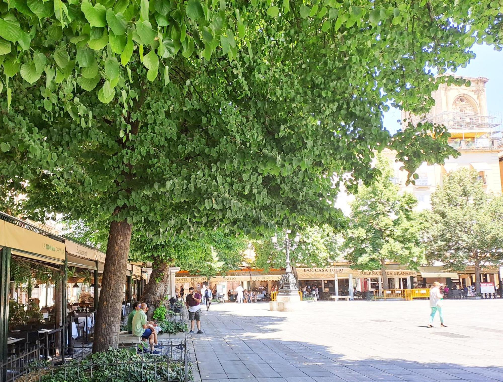 Apartasuite Centro Historico Atico Tranquilo Y Luminoso En El Corazon De Granada Dış mekan fotoğraf
